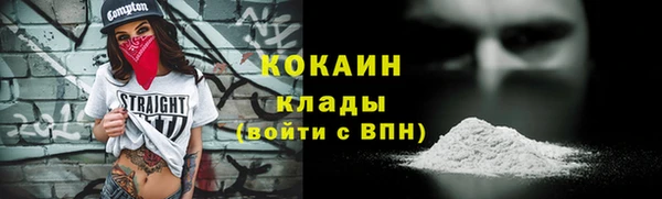 соль ск Арсеньев