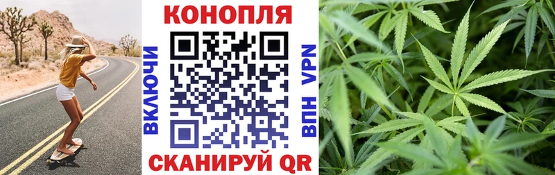 площадка официальный сайт  Минусинск  Бошки марихуана сатива 